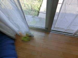 13_HK10_お客様DIY_05