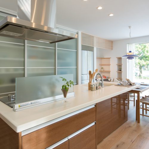 見て納得！家事を1/2にする　～働くお母さんに贈る家～　