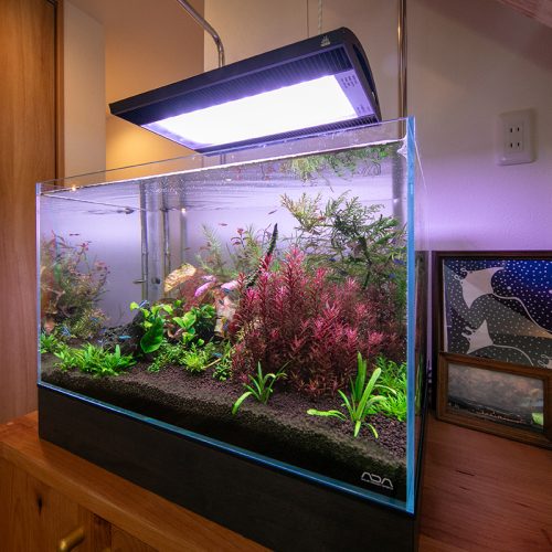 施工事例　I様邸　最高水準の高性能な家